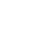 Fast Ez Icon 4